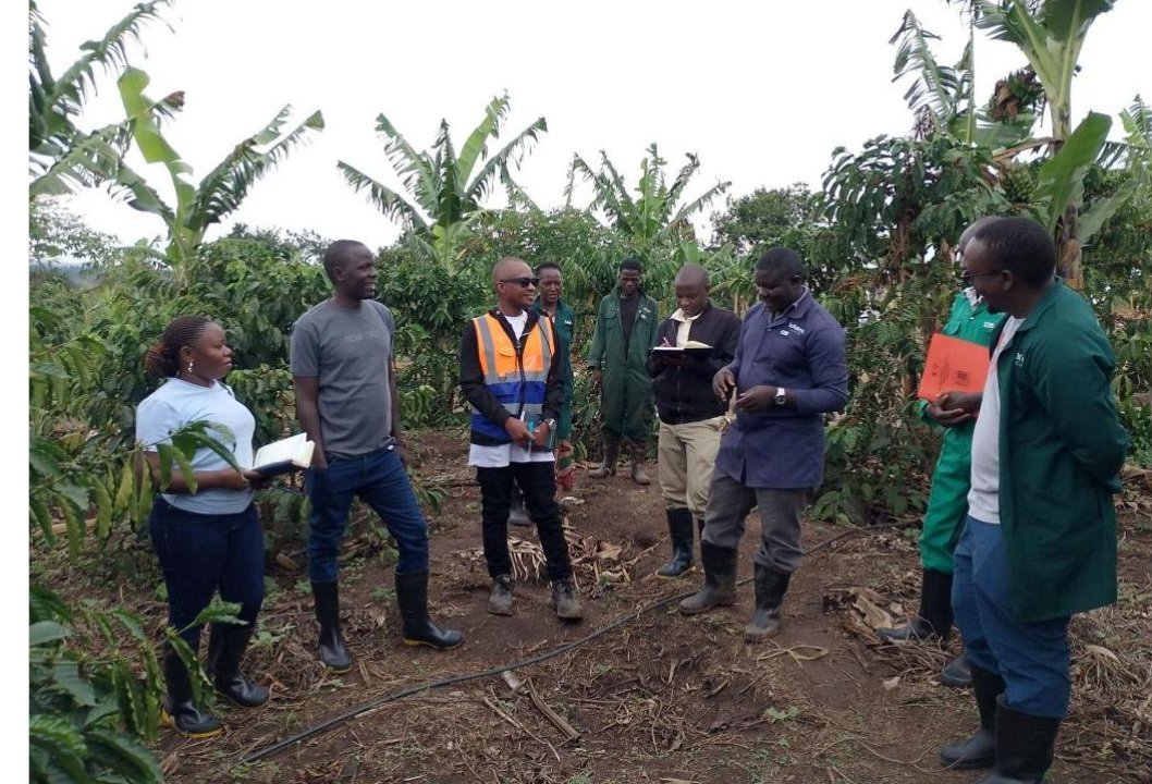 Farmer training session at the Kakone Coffee model farm