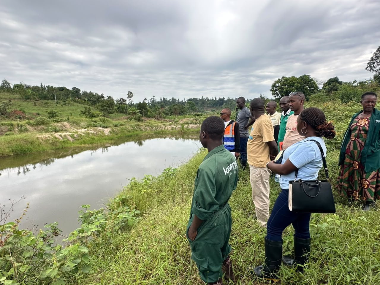 Visitors touring the irrigation water pond at Kakone Coffee Farm