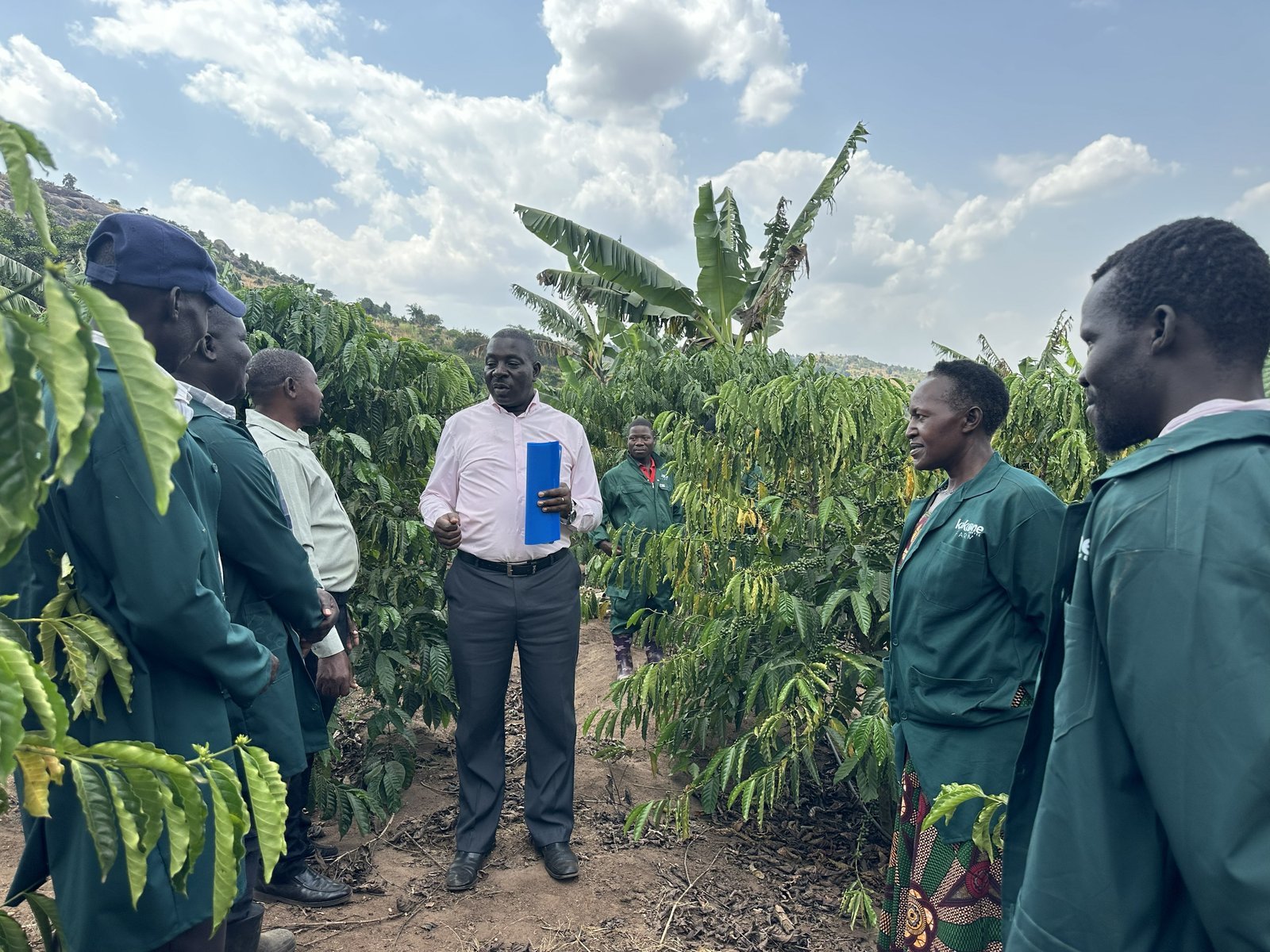 Kakone Coffee's Managing Director briefing visitors among the coffee rows