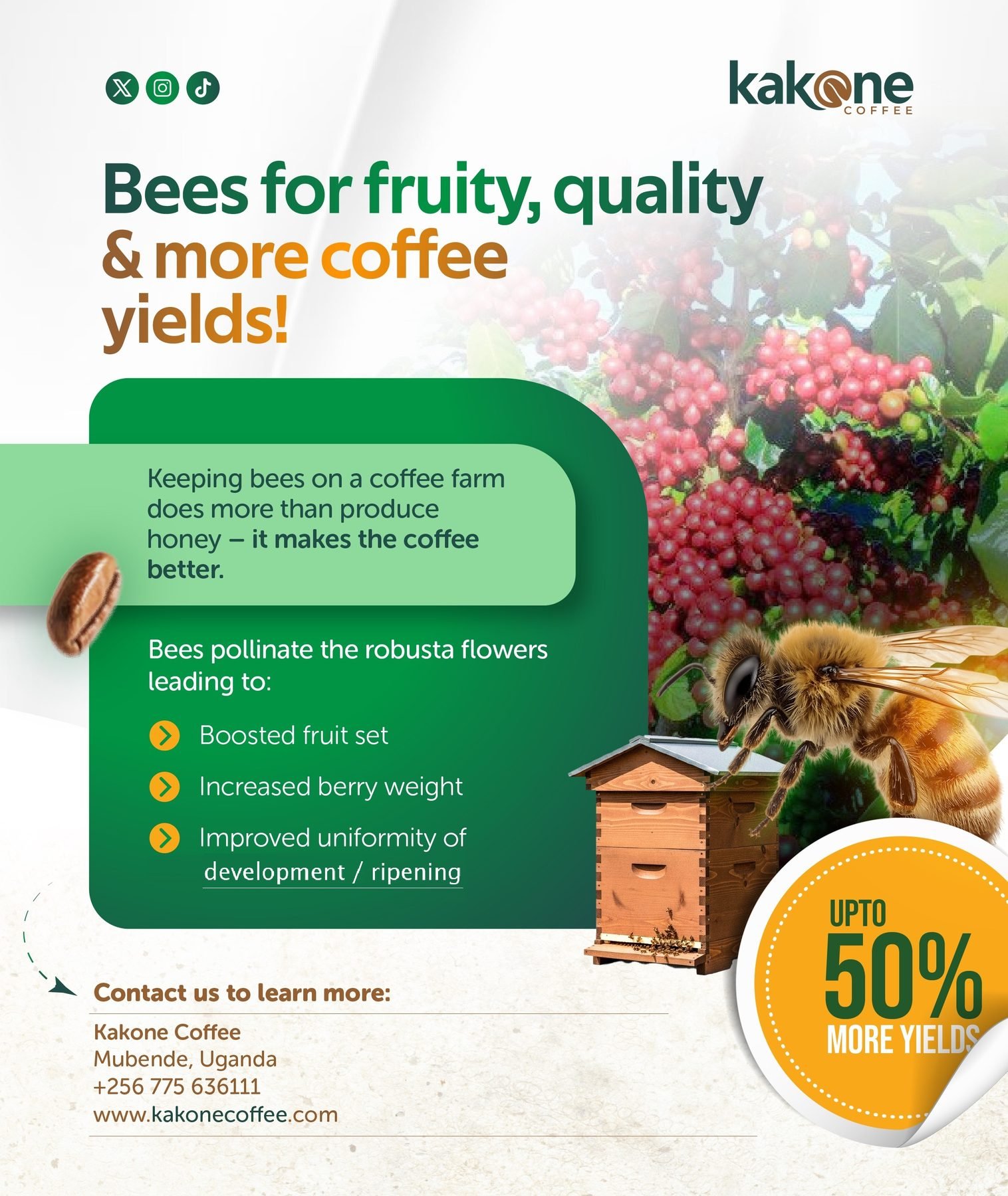 Beekeeping for coffee farms — bees boost coffee yields poster