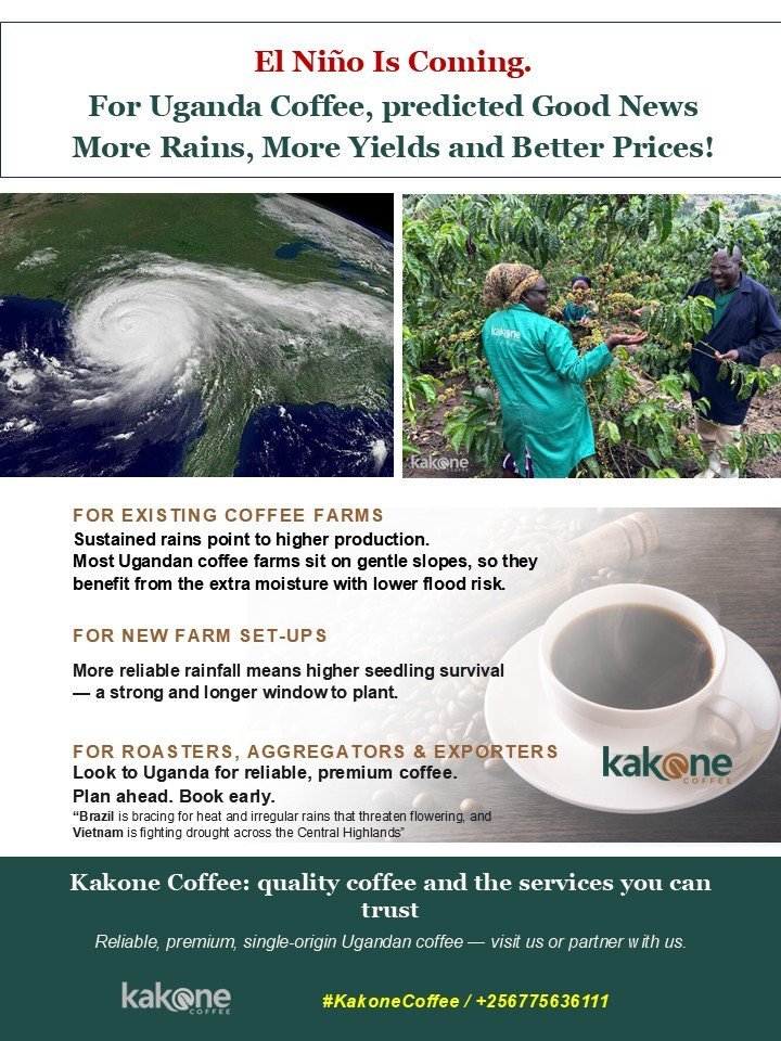 El Nino and its expected effect on Uganda coffee production