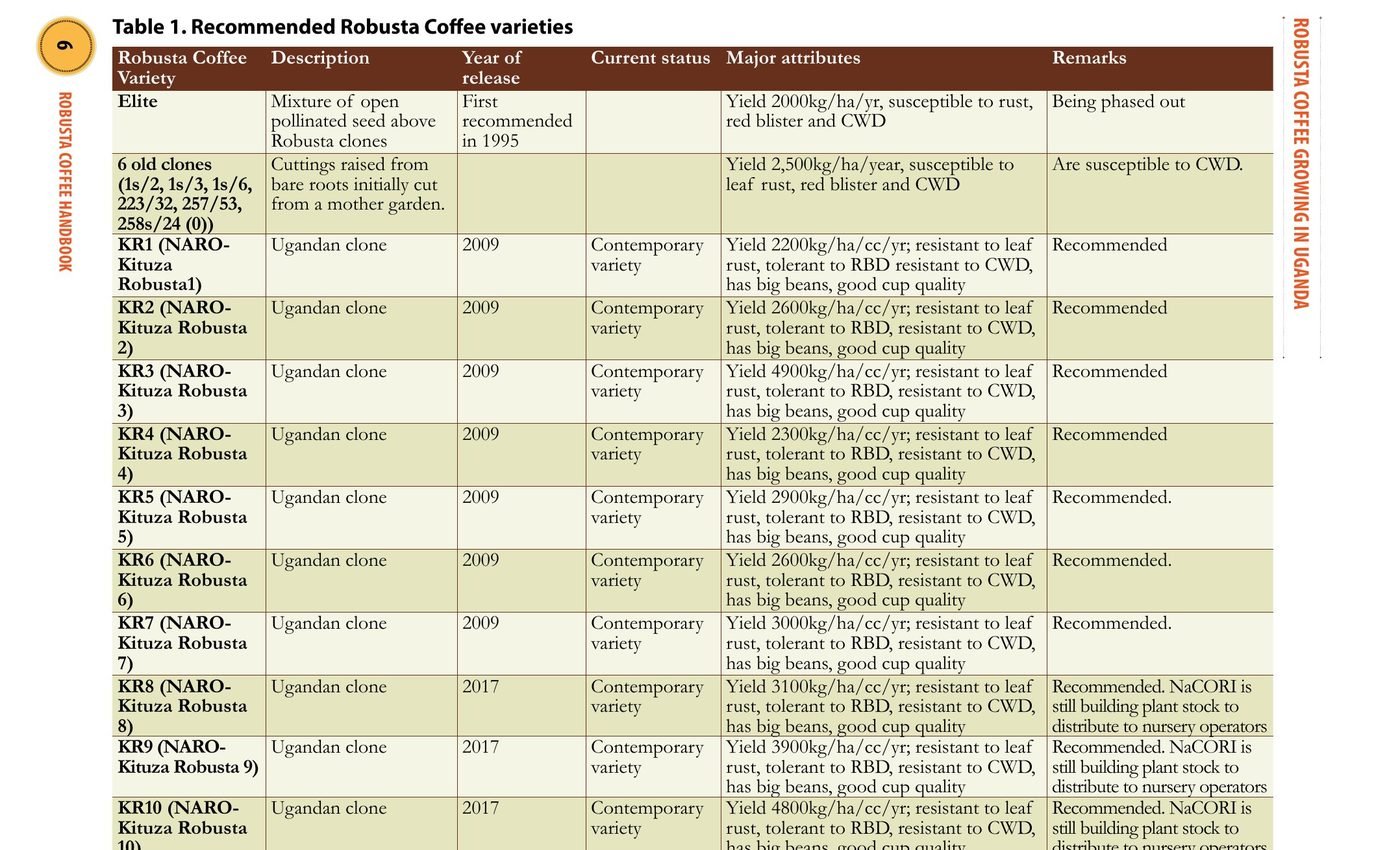 Table 1: Recommended Robusta Coffee Varieties, showing yield in kg per hectare per year for Elite, 6 old clones, and KR1 through KR10